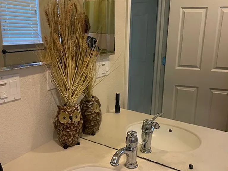 2331 Pepper Tree Ln — Photo 23