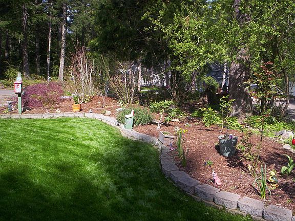 Front yard