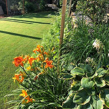 Huge organic garden areas