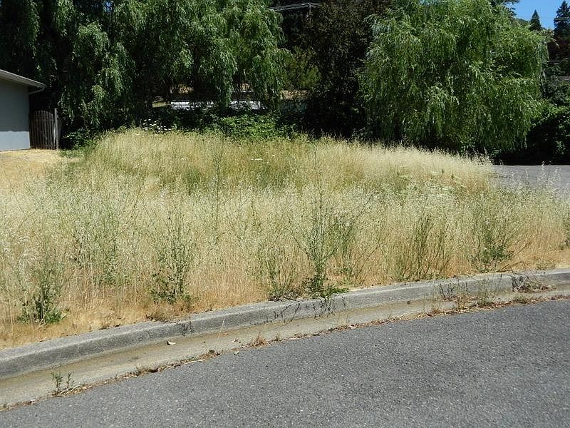 2nd image of 1698 NE Lynda Ln