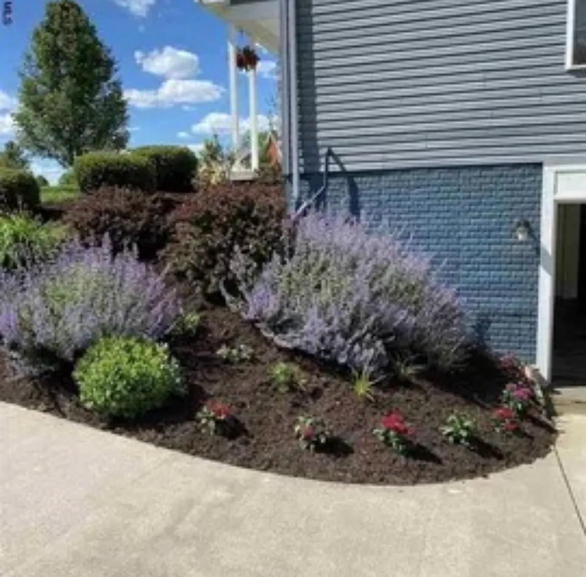 3 bed, 1590 sqft, $2,600 — Photo 4