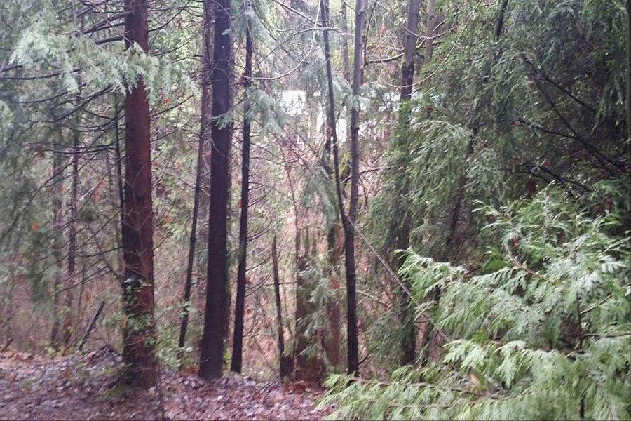 2nd image of 2722 Ringtail Rd