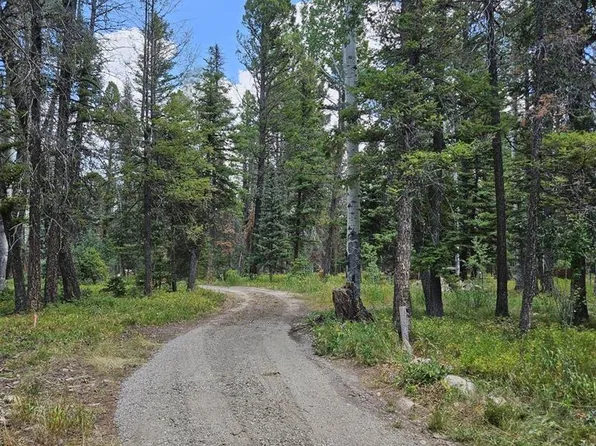 764 Deer Trail, Cimarron, CO 81220