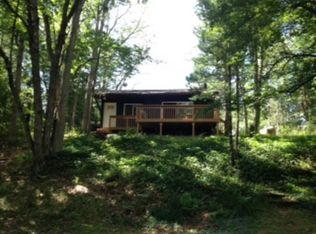 8524 N Mac Rd, Irons, MI 49644