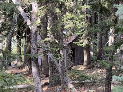 59744 Rommel Ln, Weston, OR, 97886