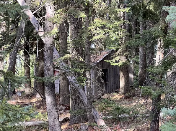 59744 Rommel Ln, Weston, OR 97886