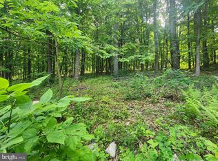 65 Cabin Rd, Capon Bridge, WV 26711