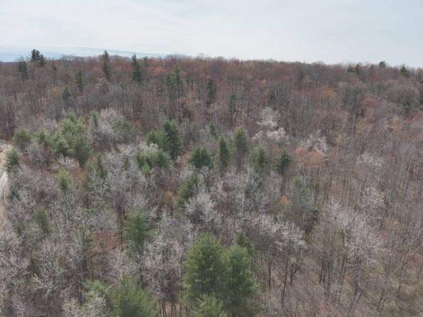 0 Peck Hill Rd, New Milford, PA 18834