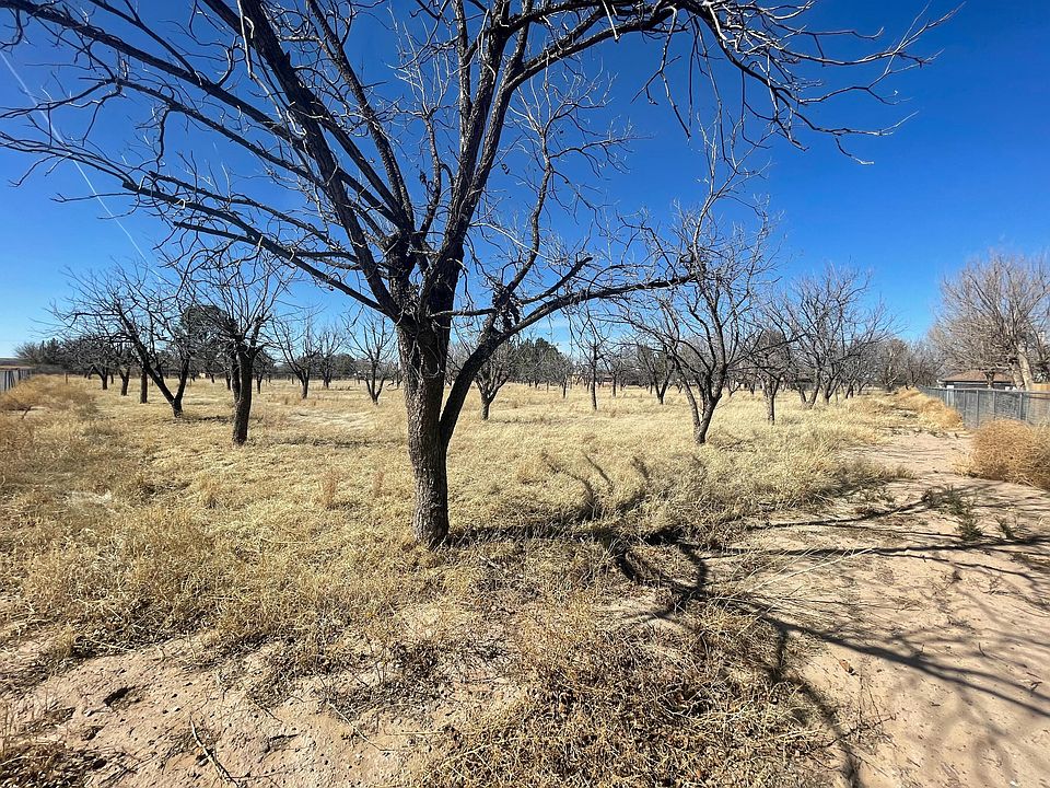 113117 La Nell St, Canutillo, TX 79835 MLS 878252 Zillow