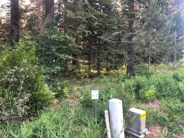 3 Old Mill Dr, McCloud, CA 96057