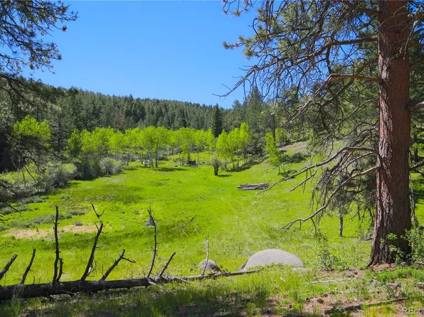 0 N County Highway 67, Sedalia, CO 80135