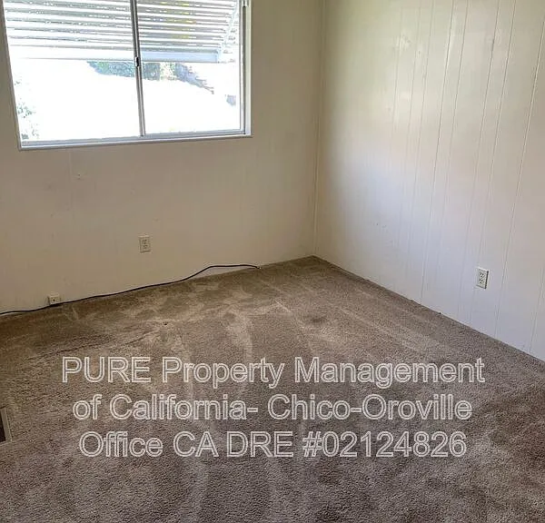 533 Silver Leaf Dr — Photo 10