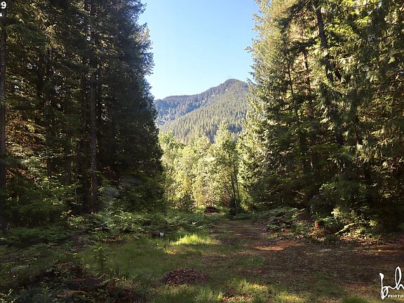 3rd image of 20550 E Lolo Pass Rd