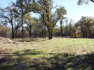 513 Palomino Ct, Bridgeport, TX 76426