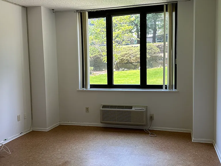 100 Carlyle Dr #S01G — Photo 25