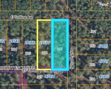 L307 E Trolling Ave, Willow, AK, 99688