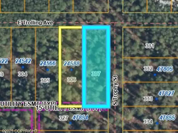 L307 E Trolling Ave, Willow, AK 99688