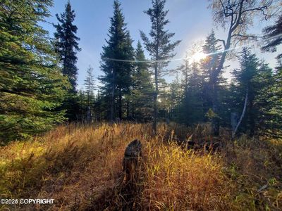 67050 Homestead Rd, Ninilchik, AK, 99639