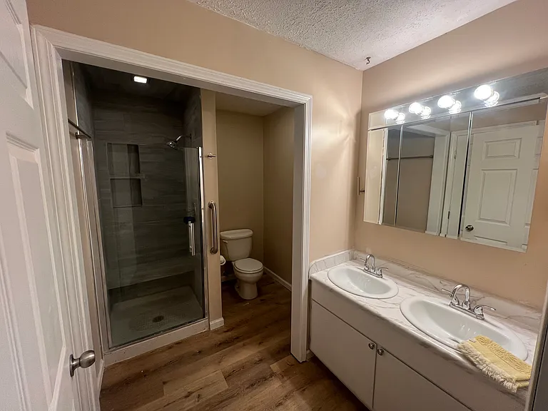 Master bathroom, brand, new tile shower with bench and cubbies, brand new dual vanity, new LVP flooring, freshly painted
