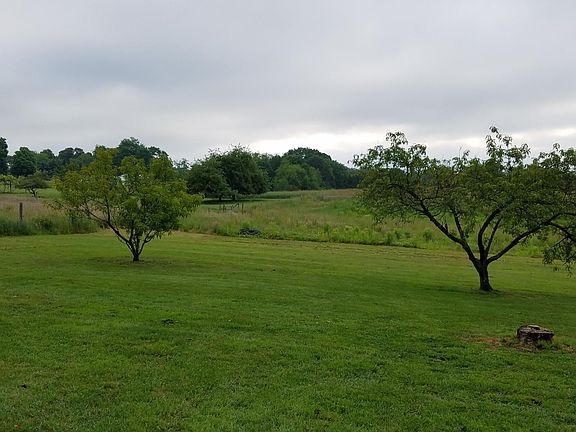 view of yard and trees in back yard