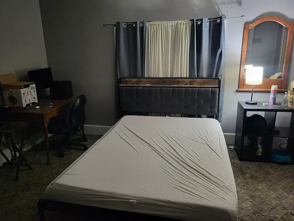 2 bed, $1,300 — Photo 3
