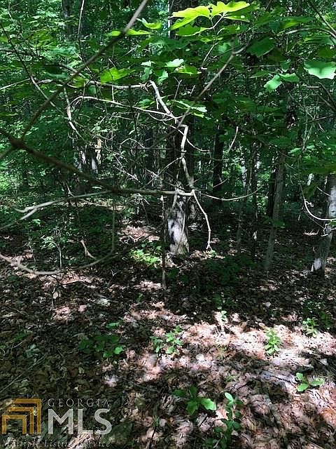 2nd image of 115 Red Oak Trl