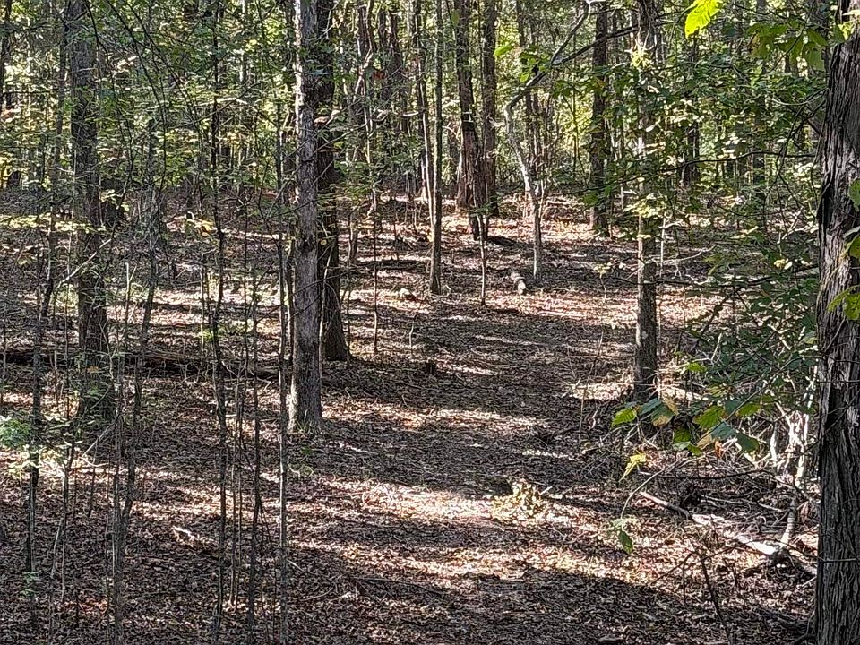 2nd image of Lake Rd Tract 32-36