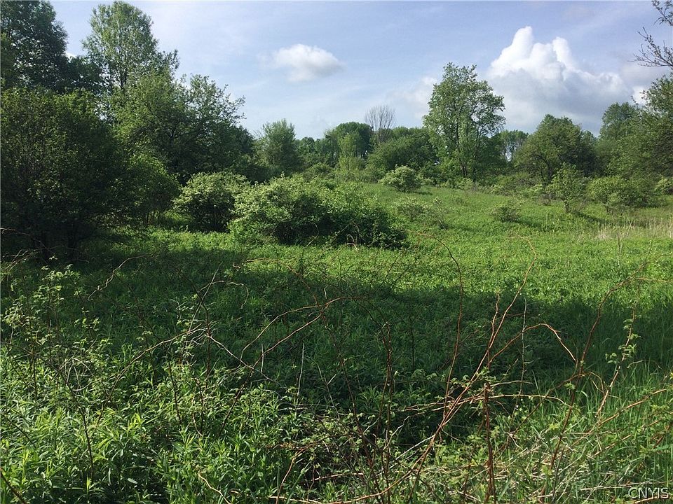 0 Blue Rd 2, Barneveld, NY 13304 MLS S1408607 Zillow