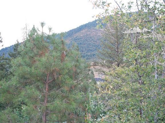 3rd image of 2265 SE Elderberry Ln