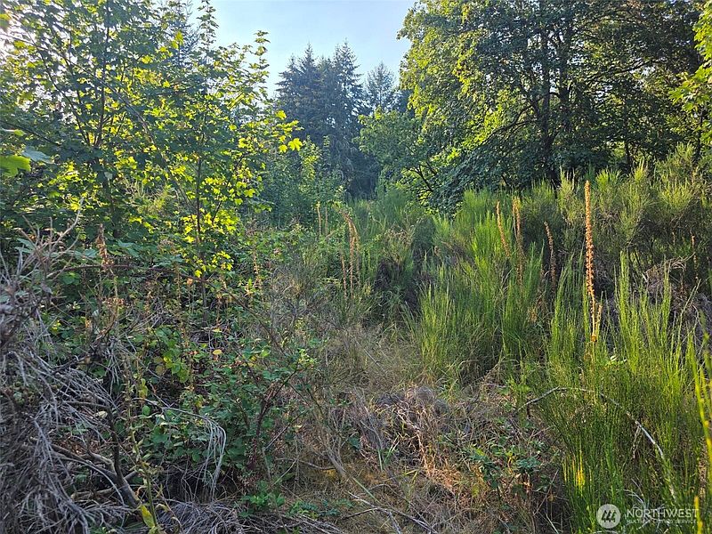 5th image of 27313 Vashon Highway SW