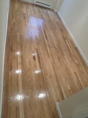 Rented by CoSo Apartments | media 47