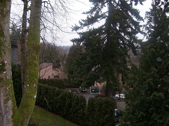 4th image of 10022 NE 120th Ln APT G303