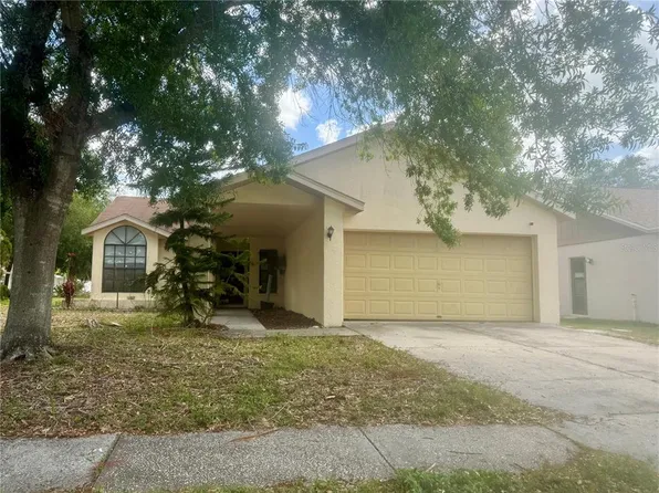 11318 Blackbark Dr, Riverview, FL 33579