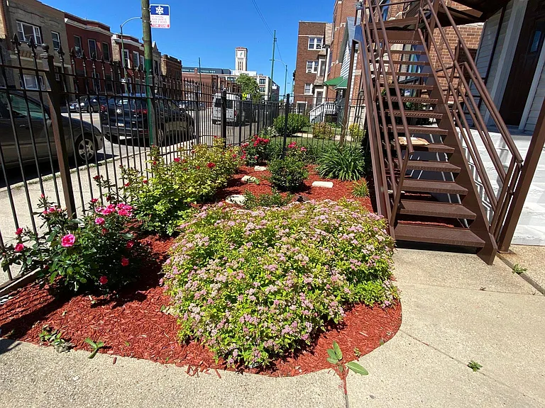 Front yard