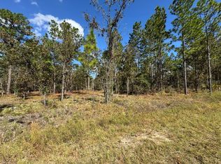 NW Amberjack Ave LOT 56, Dunnellon, FL 34431