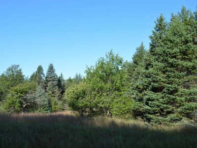 Gildas Rd, Rapid City, MI, 49676