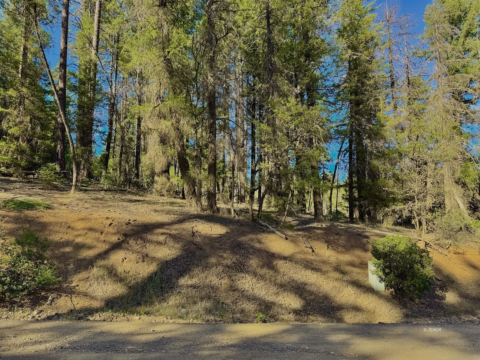 920 Chrome Mine Rd photo 1