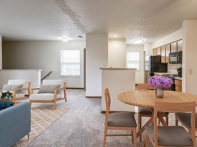 Living & Dining Area