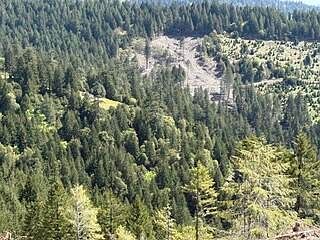 3rd image of 12350 Forest Service Route Rd #1