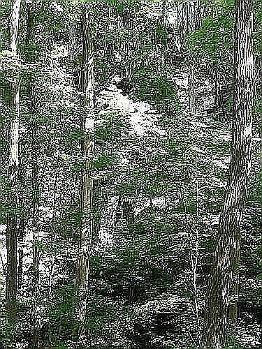 2nd image of 84 Tumble Falls Rd