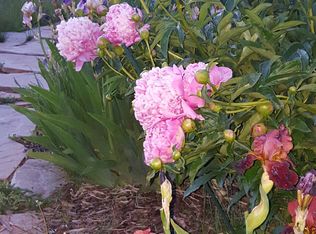 5974 N Maple Ridge Trl, Oakley, UT 84055