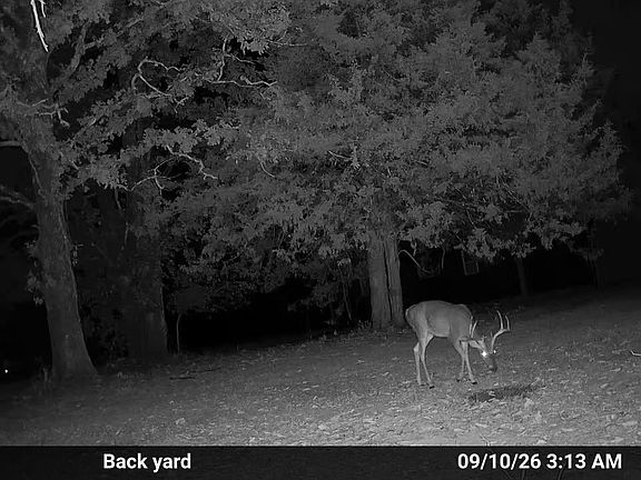 2nd image of 0000 County Road Jj-416
