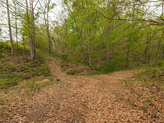 86th image of 1103 Johnny Spears Rd