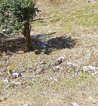 2nd image of 1511 Millstone Beach Rd