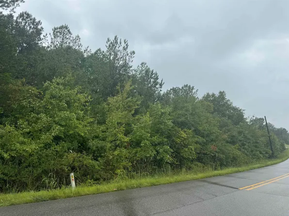 0 College Rd, Phil Campbell, AL 35581