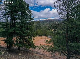 102 Blue Bell Cir, Cripple Creek, CO 80813