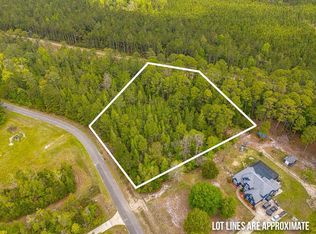 19 Serenity Farms Rd, Woodbine, GA 31569