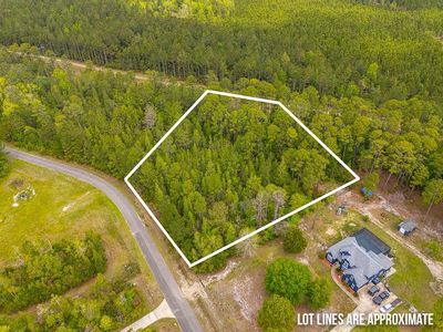 19 Serenity Farms Rd, Woodbine, GA, 31569