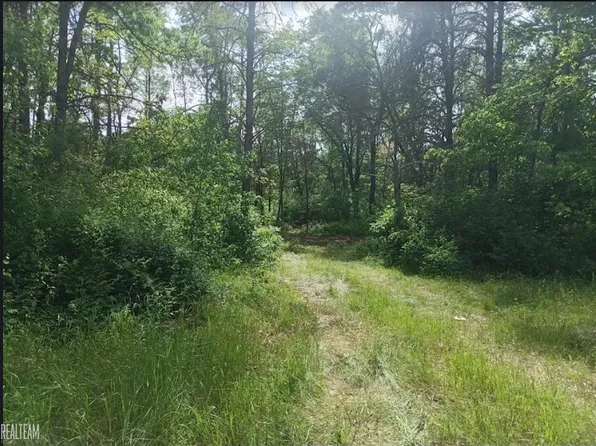 0 S James Rd, Baldwin, MI 49304