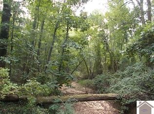 4701 Jewell Ln, Paducah, KY 42001